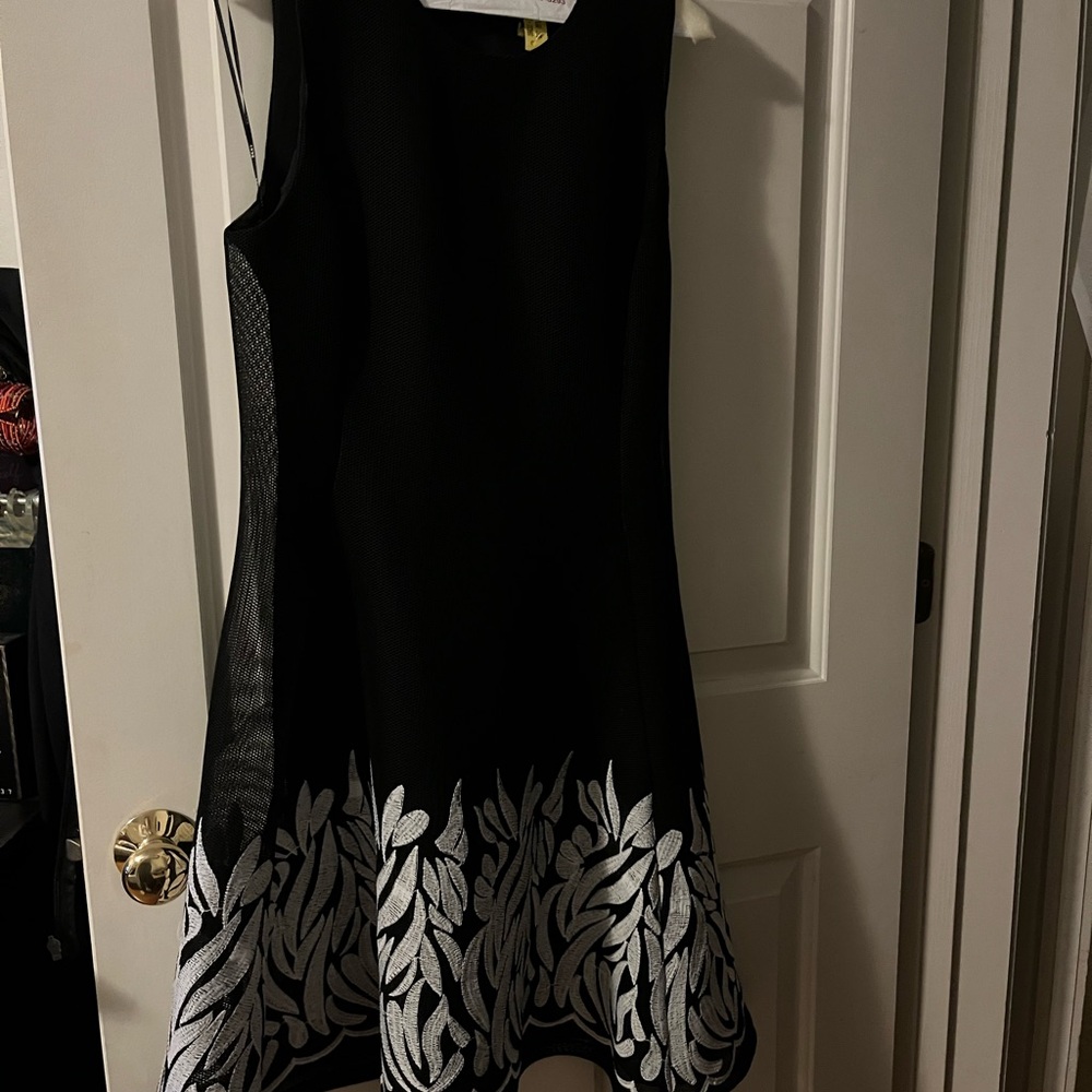 Elegant DKNY embroidered mesh Dress SZ 10 - Picture 5 of 7